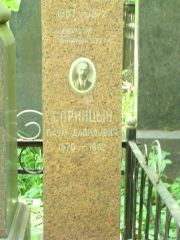 Спринцын Наум Давидович, Москва, Востряковское кладбище