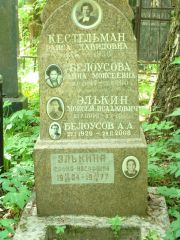 Элькина София Иосифовна, Москва, Востряковское кладбище