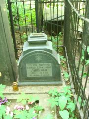 Липкина Софья Давидовна, Москва, Востряковское кладбище