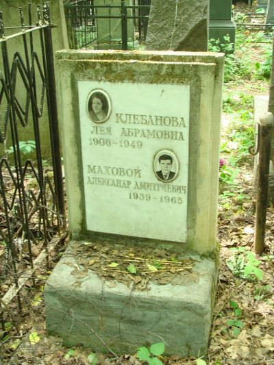 Маховой Александр Дмитриевич