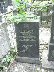 Шерель Софья Зальмановна, Москва, Востряковское кладбище