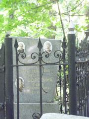 Борозина Фейга Фроймовна, Москва, Востряковское кладбище