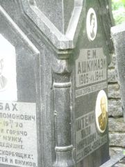 Ашкенази Е. М., Москва, Востряковское кладбище