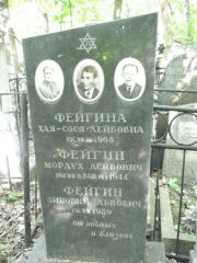 Фейгина Хая-Сося Лейбовна, Москва, Востряковское кладбище