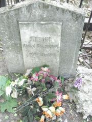 Левин Абрам Яковлевич, Москва, Востряковское кладбище