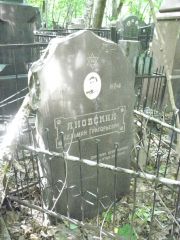 Яновский Кельман Григорьевич, Москва, Востряковское кладбище