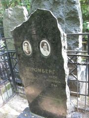Штромберг Арон Яковлевич, Москва, Востряковское кладбище