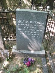 Молочников Григорий Исаакович, Москва, Востряковское кладбище