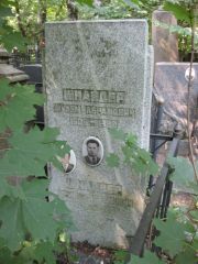 Шнайдер Шулем Абрамович, Москва, Востряковское кладбище
