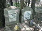Абелева Цира Юделевна, Москва, Востряковское кладбище