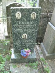 Линский Илья Лазаревич, Москва, Востряковское кладбище