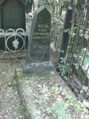 Коган Исаак Григорьевич, Москва, Востряковское кладбище