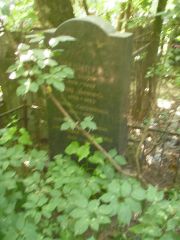 Слезингер Самуил Борисович, Москва, Востряковское кладбище