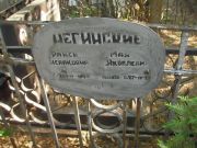 Негинская Раиса Исааковна, Москва, Востряковское кладбище