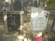 Левин Евель Залманович, Москва, Востряковское кладбище
