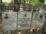 Гринштейн Клара Наумовна, Москва, Востряковское кладбище