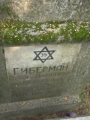 Гиберман Софья Давидовна, Москва, Востряковское кладбище