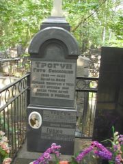 Торгун Гитя Симховна, Москва, Востряковское кладбище