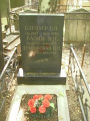 Блейхер П. П., Москва, Востряковское кладбище