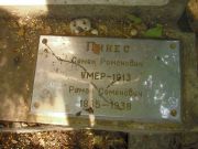 Пинес Семен Романович, Москва, Востряковское кладбище