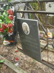 Резников Беня Моисеевич, Москва, Востряковское кладбище