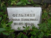 Фельдман Софья Давдовна, Москва, Востряковское кладбище
