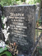 Эльбаум Софья Марковна, Москва, Востряковское кладбище
