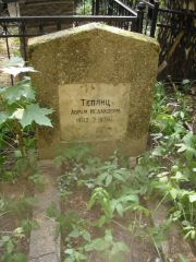 Теплиц Абрам Исаакович, Москва, Востряковское кладбище