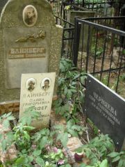 Шляфер Мэри Соломоновна, Москва, Востряковское кладбище