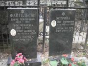 Файтельсон Давид Лейзерович, Москва, Востряковское кладбище
