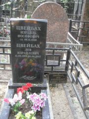 Цвейбах Израиль Иосифович, Москва, Востряковское кладбище