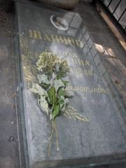 Шапиро Сарра Евсеевна, Москва, Востряковское кладбище