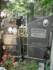 Полонская Ида Ефимовна, Москва, Востряковское кладбище