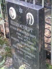 Шлиосберг Рувим Яковлевич, Москва, Востряковское кладбище