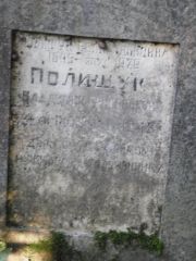 Полищук Владимир Григорьевич, Москва, Востряковское кладбище