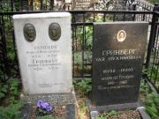 Гринберг Моисей Пейсахович, Москва, Востряковское кладбище