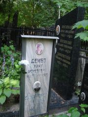 Дембо Эмма Моисеевна, Москва, Востряковское кладбище