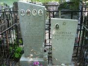 Курзон Рахиль Хановна, Москва, Востряковское кладбище