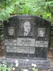 Левина Анна Григорьевна, Москва, Востряковское кладбище