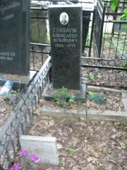 Гохбаум Александр Исаакович, Москва, Востряковское кладбище