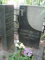 Финкельсон Евгения Иосифовна, Москва, Востряковское кладбище