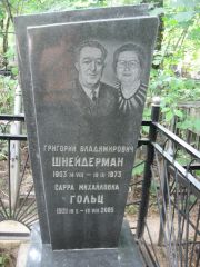 Шнейдерман Григорий Владимирович, Москва, Востряковское кладбище