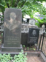 Левин Михаил Аронович, Москва, Востряковское кладбище
