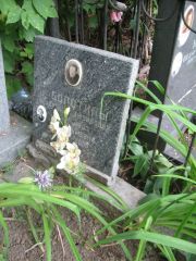 Болотина ? Самуиловна, Москва, Востряковское кладбище