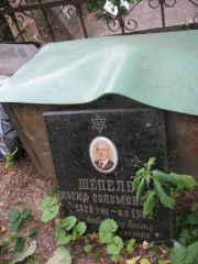 Шепелев Иосиф Соломонович, Москва, Востряковское кладбище
