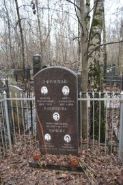 Кабищева Сима Моисеевна, Москва, Востряковское кладбище