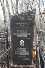 Каплан Голда Израилевна, Москва, Востряковское кладбище