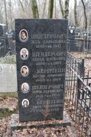 Шендерович Ида Давыдовна, Москва, Востряковское кладбище