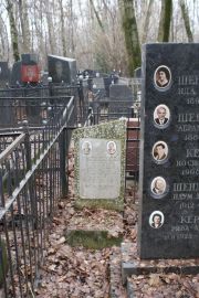 Габинский Давид Ильич, Москва, Востряковское кладбище