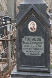 Голубов Яков Давидович, Москва, Востряковское кладбище
